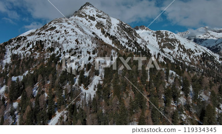 Snow Alp forest mountain range landscape 119334345