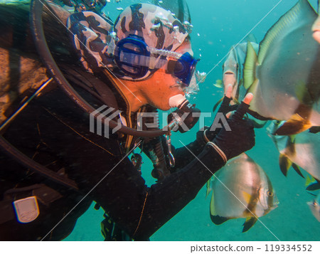 School of Platax teira, Longfin spadefish, or batfish, and a SCUBA diver Puerto Galera, Philippines 119334552