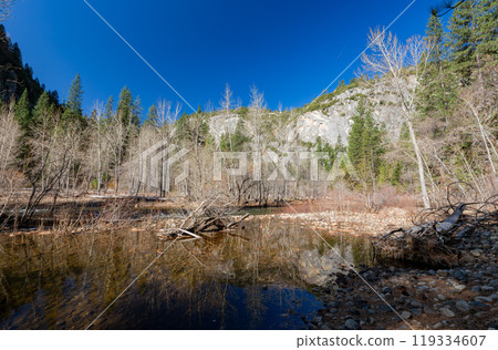 Sunny view of the river landscape in Yosemite National Park Sunny view of the river landscape in Yosemite National Park 119334607