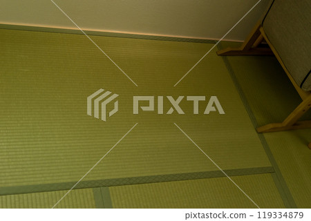 There are traces of a chair being dragged across the tatami mat 119334879