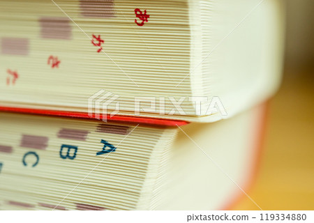 English-Japanese and Japanese-English dictionaries 119334880