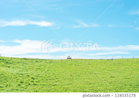 [Aso, Kumamoto Prefecture] A duo photographed at Daikanbo with a blue sky, grassland divided into two, and the Japanese flag 119335178