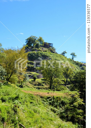 Saplings Castle Ruins 119336577