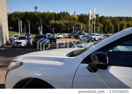 Car Sales and Loan Industry Concept. Row of Brand New Vehicles in Stock. 119336605