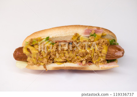 Gourmet Hot Dog featuring Crispy Toppings along with a delicious Sauce for extra flavor 119336737
