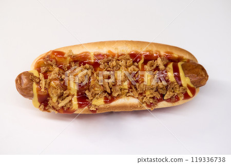 Gourmet Hot Dog featuring Crispy Toppings along with a delicious Sauce for extra flavor Gourmet Hot Dog featuring Crispy Toppings along with a delicious Sauce for extra flavor 119336738
