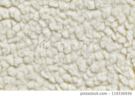 Felted wool texture 119336936