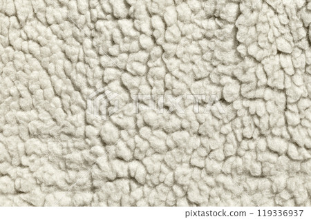 Felted wool texture 119336937