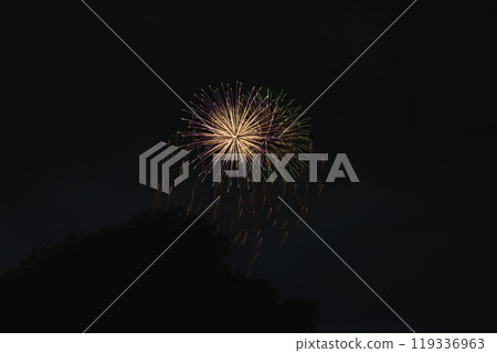 Large flowers blooming in the night sky at the Nakanocho Fireworks Festival in Hamamatsu City, seen from the Tenryu River riverbed (Shizuoka Prefecture) 119336963