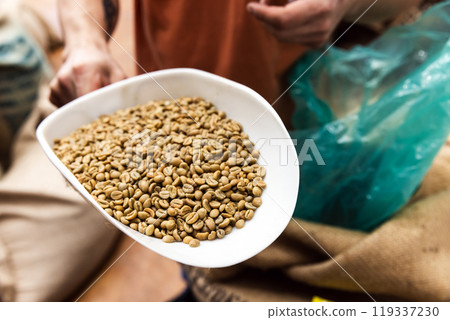 Fermented green coffee beans just before roasting. Arabica 119337230