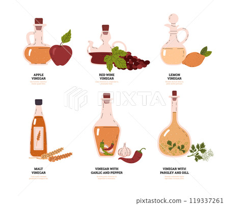 Vinegar bottles and ingredients on an educational poster. Vinegar bottles and ingredients on an educational poster. 119337261