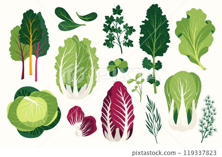 Flat salad. Cartoon healthy vegan food ingredients, fresh greens and spices, healthy food and low callories concept. Vector isolated set 119337823