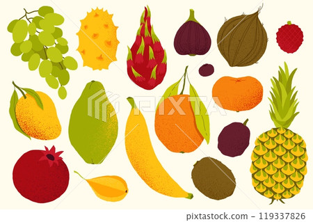 Exotic fruits. Cartoon tropical sweet organic berries, kiwi gooseberry mango pomegranate rambutan and dragon fruit. Vector isolated set Exotic fruits. Cartoon tropical sweet organic berries, kiwi gooseberry mango pomegranate rambutan and dragon fruit. Vector isolated set 119337826
