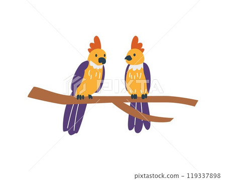 Vector illustration parrots with colorful feathers sitting on a tree branch on a white background, 119337898