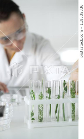 Woman scientist wearing a lab coat, is dripping liquid from a pipette into a test tube with a green plant inside, vertical close up view. Science and medicine concepts Woman scientist wearing a lab coat, is dripping liquid from a pipette into a test tube with a green plant inside, vertical close up view. Science and medicine concepts 119338336