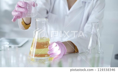 A scientist, wearing a lab coat and pink protective gloves, is pouring a yellow oily liquid from one beaker to another in laboratory, close up. Medicine and science A scientist, wearing a lab coat and pink protective gloves, is pouring a yellow oily liquid from one beaker to another in laboratory, close up. Medicine and science 119338346
