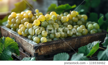 Green Grapes in a Crate 119338482
