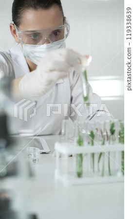Woman scientist wearing a lab coat, white gloves, face mask and protective glasses, is holding a test tube with plants inside, vertical portrait view. Science and medicine Woman scientist wearing a lab coat, white gloves, face mask and protective glasses, is holding a test tube with plants inside, vertical portrait view. Science and medicine 119338639