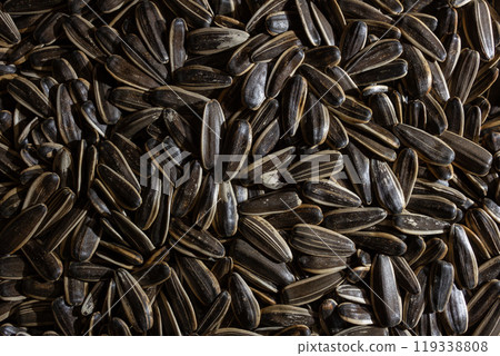 Non Salty Roasted Sunflower Seeds in Shell Non Salty Roasted Sunflower Seeds in Shell 119338808