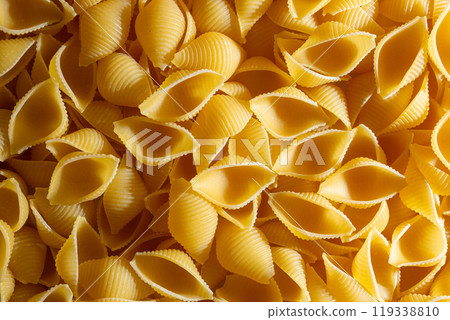 Uncooked Conchiglie Pasta Background 119338810