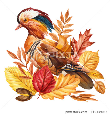 Vibrant composition with bird and autumn dry leaves, duck in autumn plants, watercolor drawing. colorful bird art design Vibrant composition with bird and autumn dry leaves, duck in autumn plants, watercolor drawing. colorful bird art design 119339063