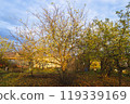 Golden autumn in the garden. 119339169