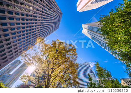 Tokyo cityscape in Japan: signs of autumn...Shinjuku Center Building and other buildings seen from October 7, 2024 Tokyo cityscape in Japan: signs of autumn...Shinjuku Center Building and other buildings seen from October 7, 2024 119339250
