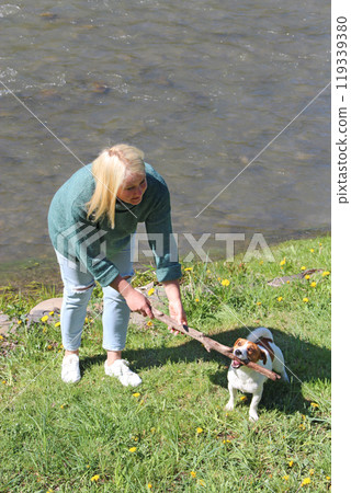 Woman having fun with their Jack Russell Terrier dog. Dog training Woman having fun with their Jack Russell Terrier dog. Dog training 119339380