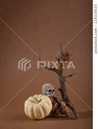 Autumn fall modern still life Autumn fall modern still life 119339535