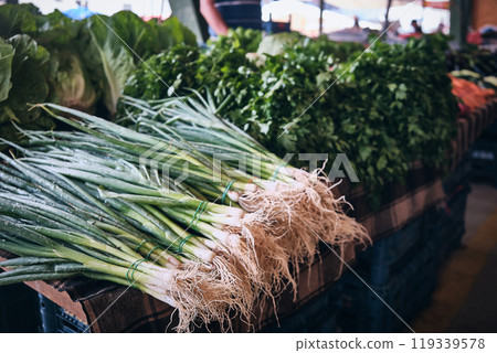 Seasonal garden greenery 119339578