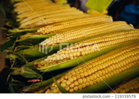 Corn on the cob Corn on the cob 119339579