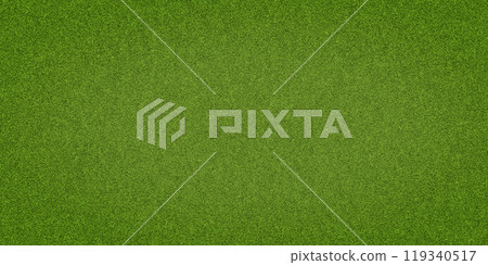 Green grass background, top view background of garden bright grass concept used for making green backdrop, lawn for sports field, Green grass background, top view background of garden bright grass concept used for making green backdrop, lawn for sports field, 119340517