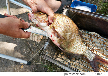 Preparing bream fish for hot food smoked Preparing bream fish for hot food smoked 119340716