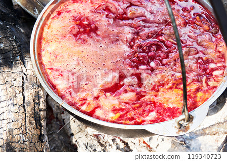 Borscht soup in pot on campfire 119340723