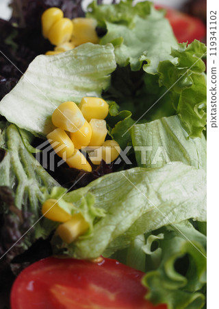 A Fresh Green Salad that is enhanced with Sweet Corn and delicious Tomatoes for a tasty meal 119341102
