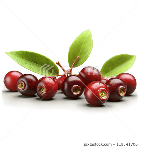 Juicy red huckleberries tumbling glossy leaves spinning juice splattering Vaccinium parvifolium Food and Culinary concept Juicy red huckleberries tumbling glossy leaves spinning juice splattering Vaccinium parvifolium Food and Culinary concept 119341706