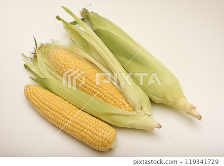 Three ears of corn on a white background. A printed cob. Ripe corn. 119341729