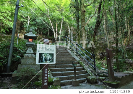 Kanehiki Falls (the final waterfalls, Otaki and Onnataki) / Miyazu City, Kyoto Prefecture Kanehiki Falls (the final waterfalls, Otaki and Onnataki) / Miyazu City, Kyoto Prefecture 119341889