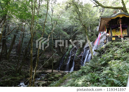 Kanehiki Falls (the final waterfalls, Otaki and Onnataki) / Miyazu City, Kyoto Prefecture 119341897