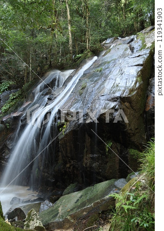 Kanehiki Falls (the final waterfalls, Otaki and Onnataki) / Miyazu City, Kyoto Prefecture Kanehiki Falls (the final waterfalls, Otaki and Onnataki) / Miyazu City, Kyoto Prefecture 119341903
