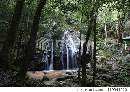 Kanehiki Falls (the final waterfalls, Otaki and Onnataki) / Miyazu City, Kyoto Prefecture Kanehiki Falls (the final waterfalls, Otaki and Onnataki) / Miyazu City, Kyoto Prefecture 119341910