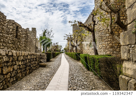 The castle of the village of Montemor-o-Velho in Portugal is the main fortress of the Baixo Mondego in medieval times 119342347