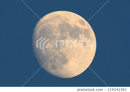 月亮（12.3個月） 119342361
