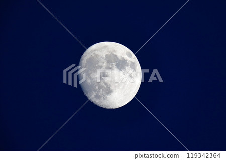 Moon (12.3 months of age) 119342364