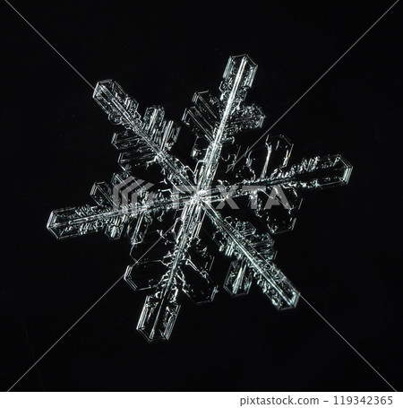 snowflakes, winter card, crystals of snow snowflakes, winter card, crystals of snow 119342365