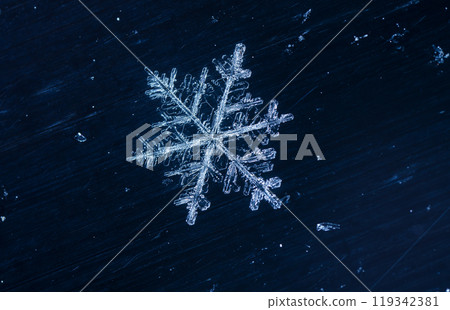 snowflakes, winter card, crystals of snow snowflakes, winter card, crystals of snow 119342381
