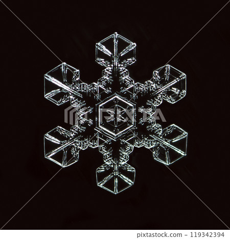 snowflakes, winter card, crystals of snow 119342394