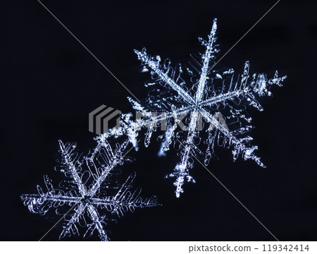 snowflakes, winter card, crystals of snow snowflakes, winter card, crystals of snow 119342414