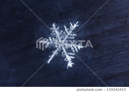 snowflakes, winter card, crystals of snow snowflakes, winter card, crystals of snow 119342415