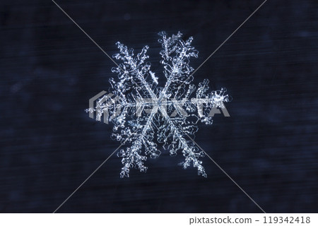 snowflakes, winter card, crystals of snow snowflakes, winter card, crystals of snow 119342418